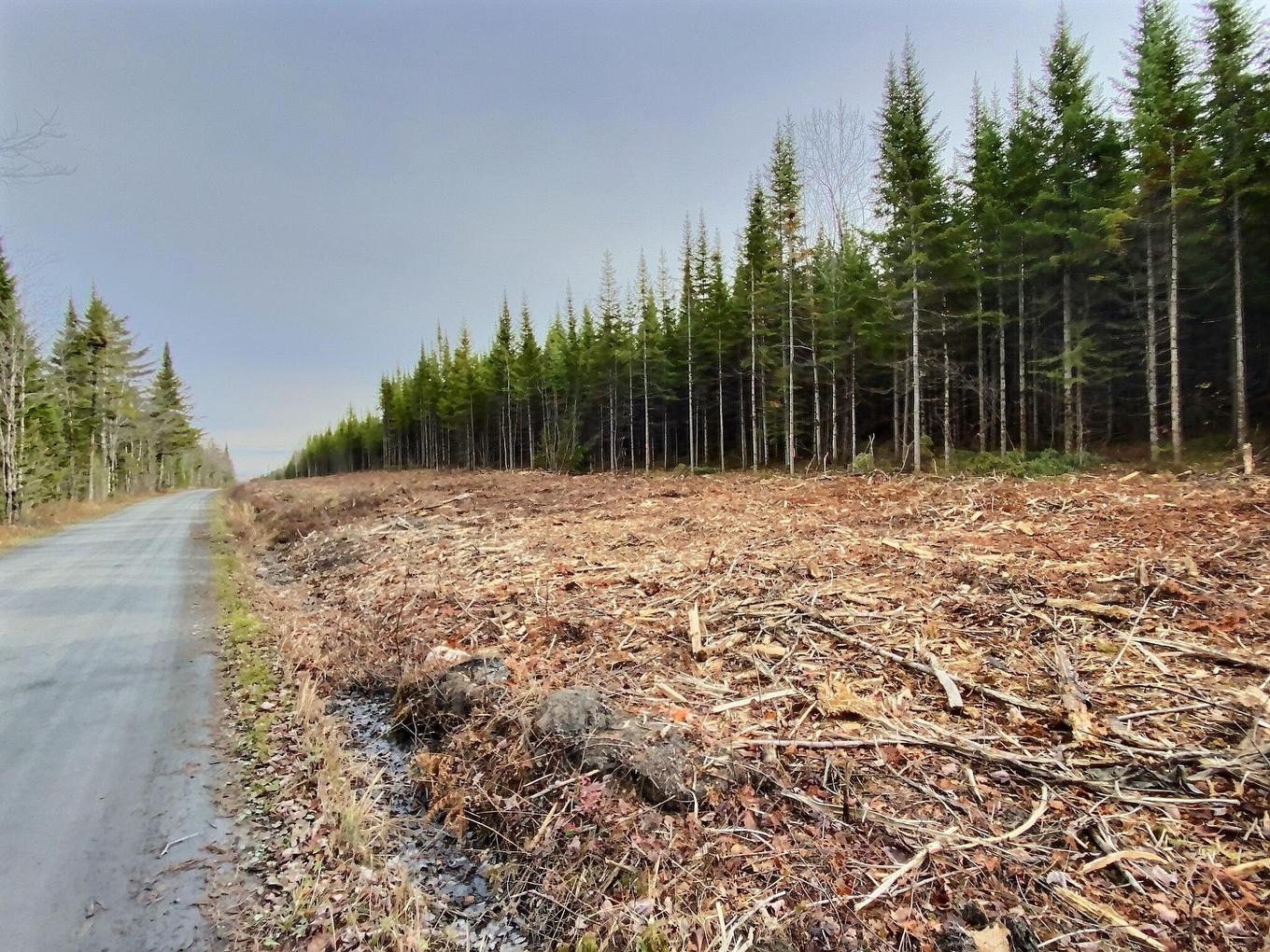 Land/Lot - 5E Rang, Adstock, QC