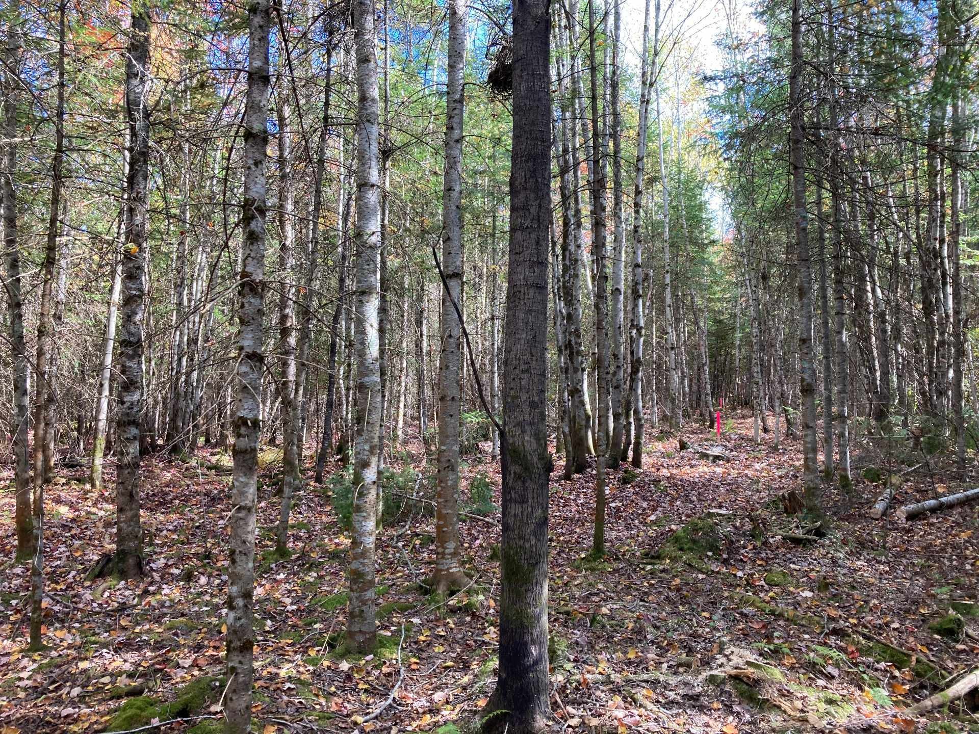 Lot - 5E Rang, Adstock, QC