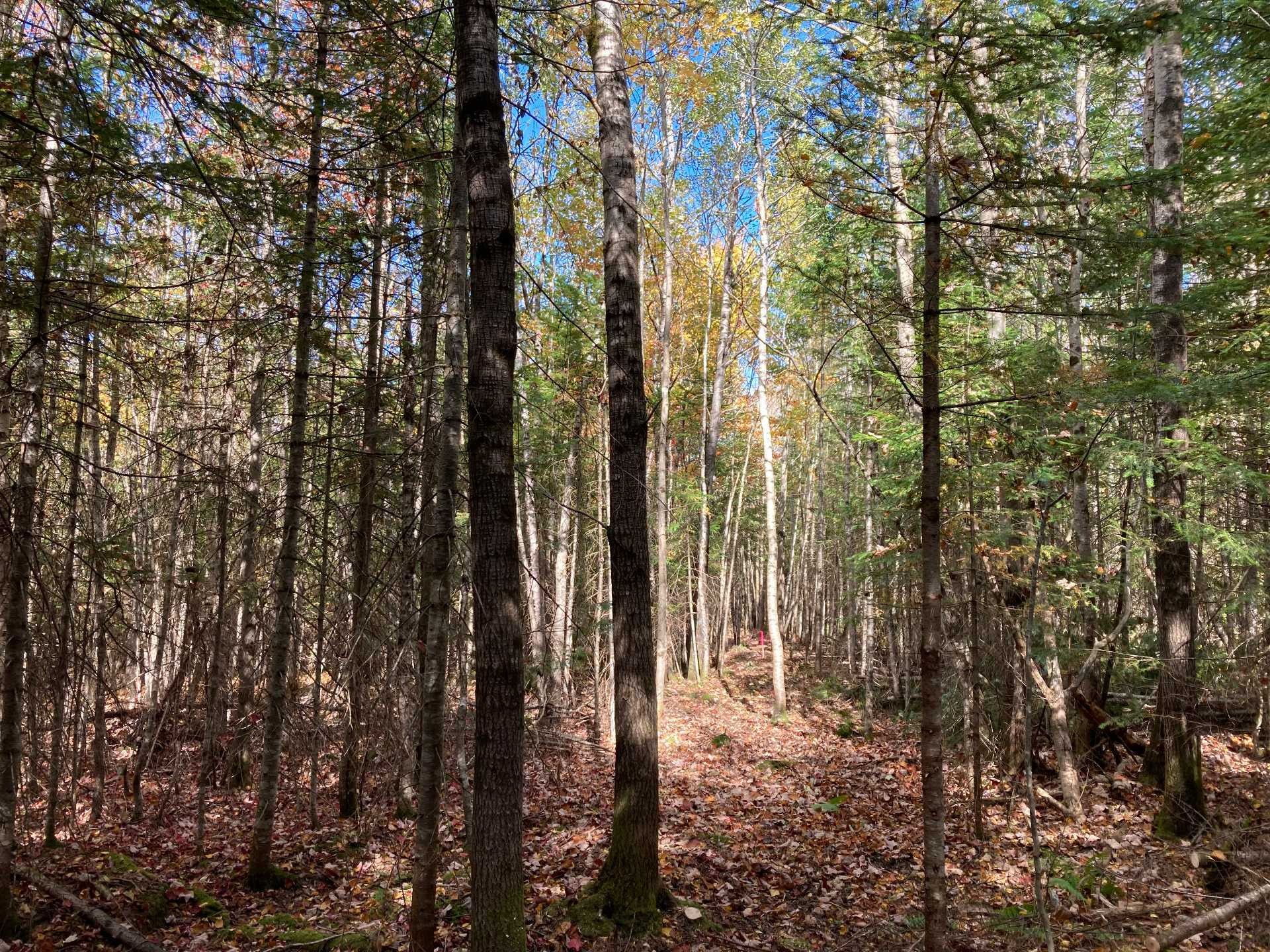 Lot - 5E Rang, Adstock, QC