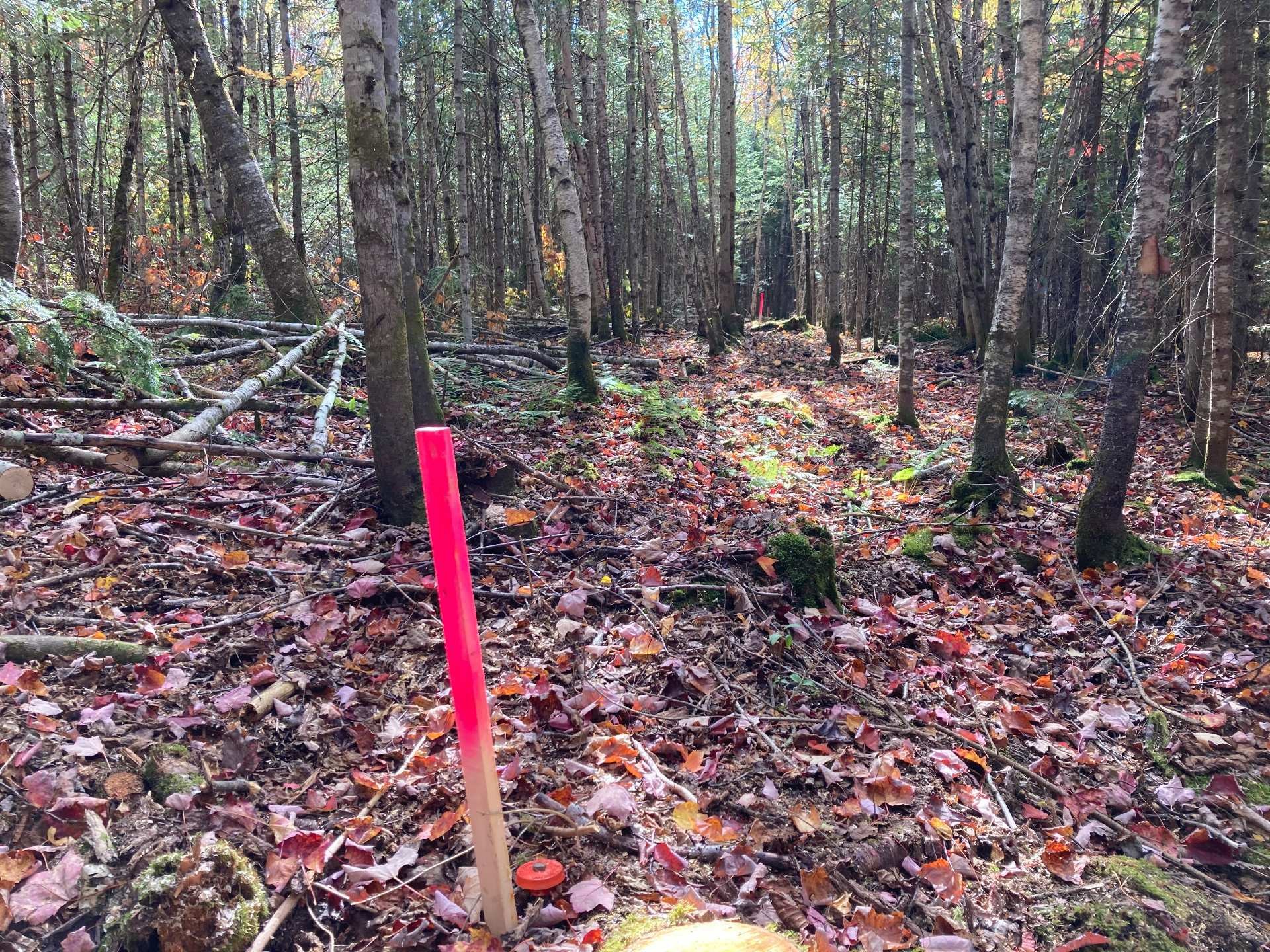 Lot - 5E Rang, Adstock, QC