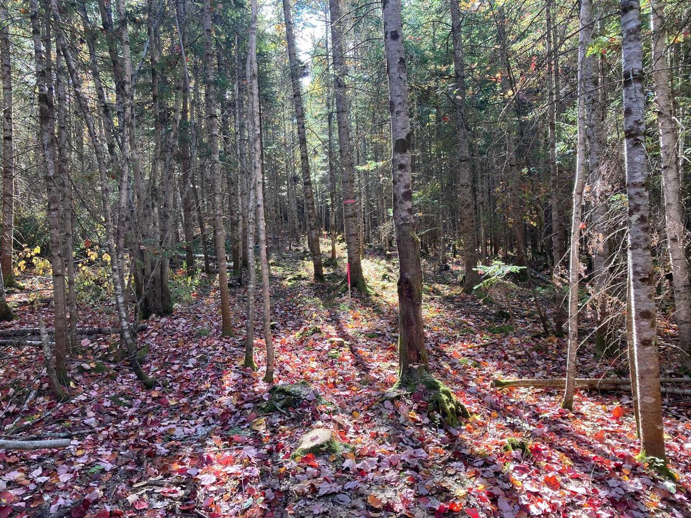 Land/Lot - 5E Rang, Adstock, QC