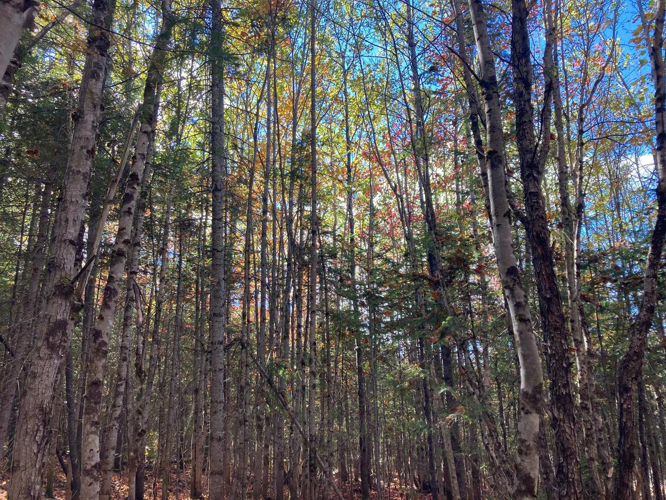 Land/Lot - 5E Rang, Adstock, QC