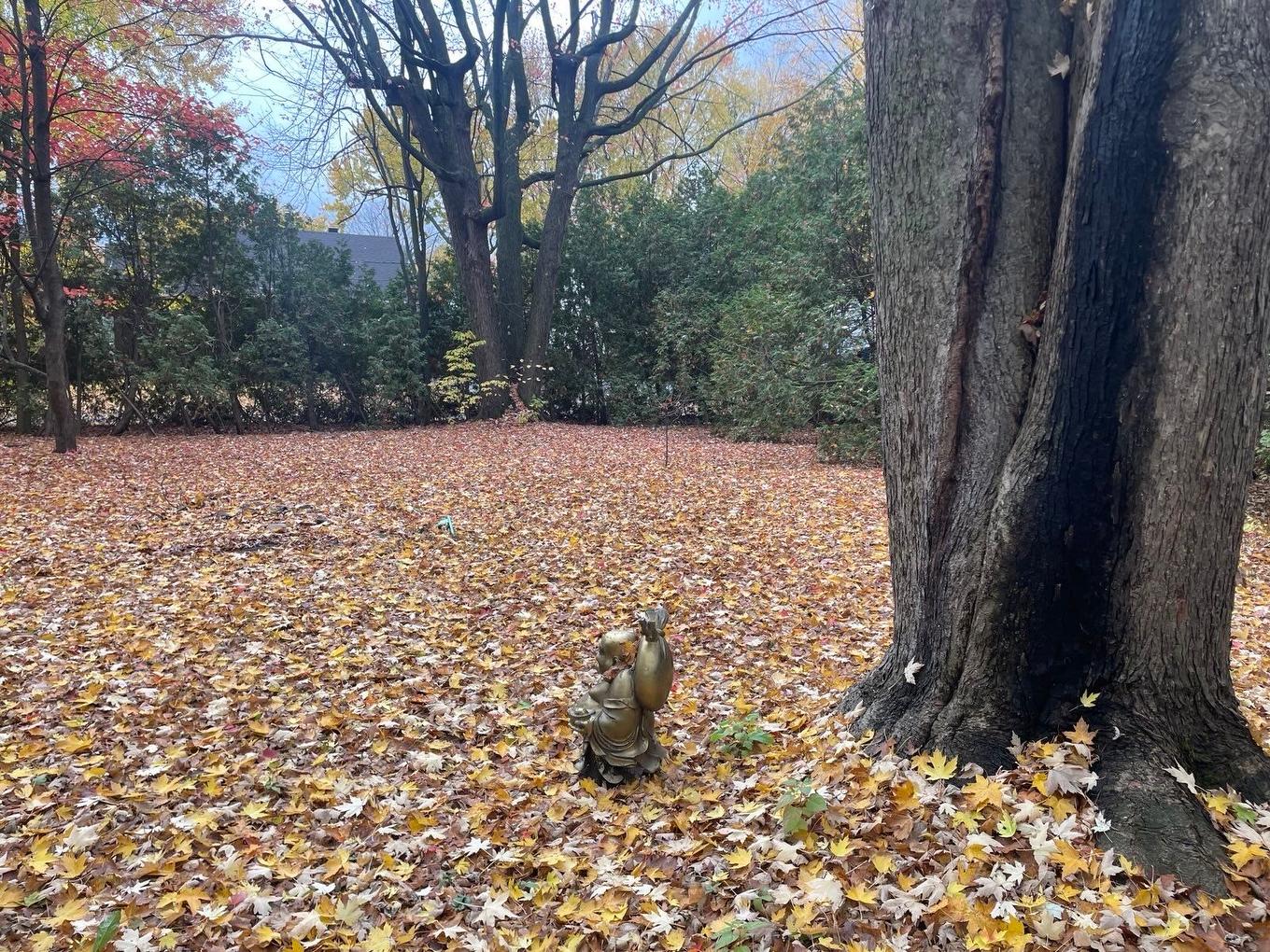 Exterior - 19 33E Avenue, Sainte-Marthe-Sur-Le-Lac, QC