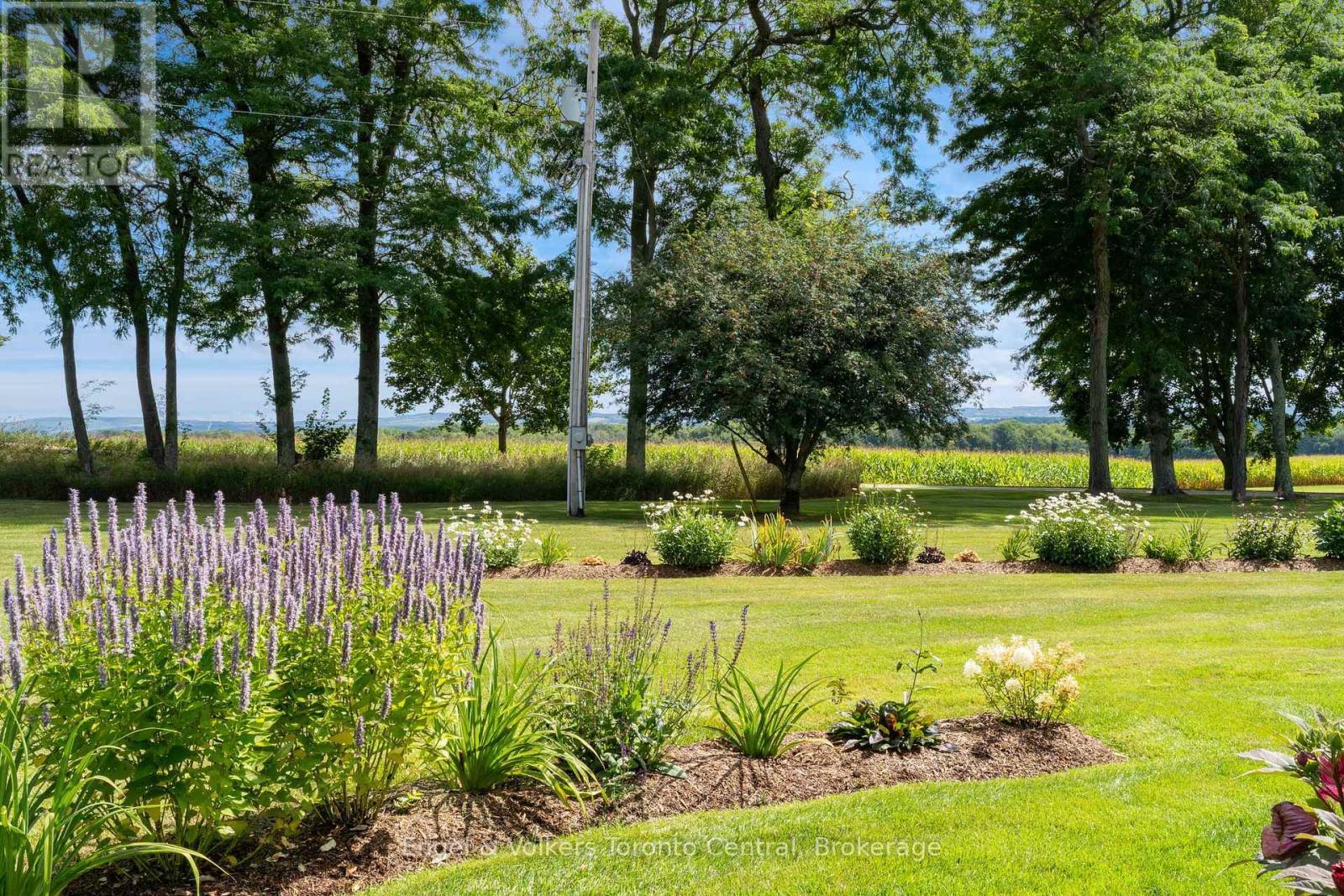 727070 Side Rd 22C Side Road W, Grey Highlands, ON - Outdoor With View