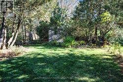 Private garden Oasis -