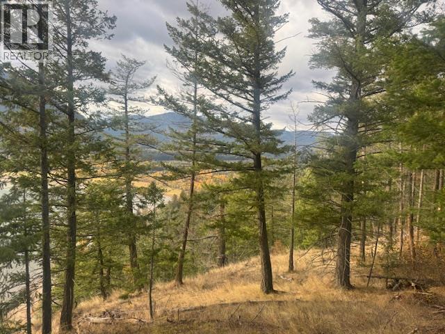 490 Sumac Road, Tappen, BC