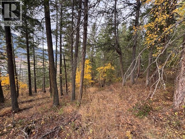 490 Sumac Road, Tappen, BC