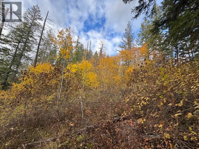 490 Sumac Road, Tappen, BC