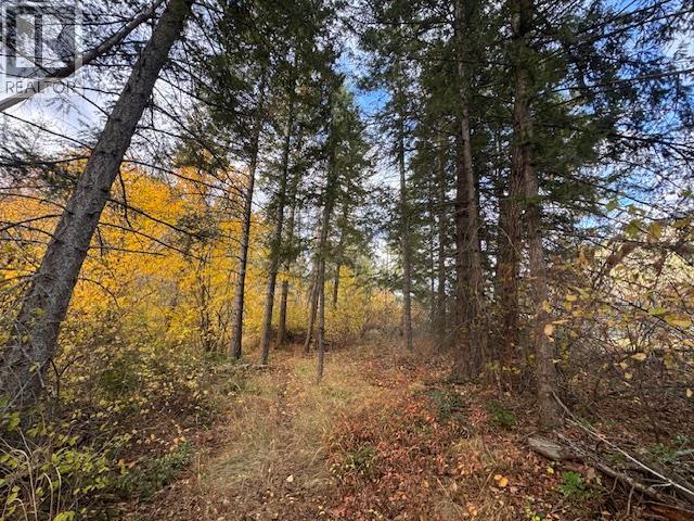 490 Sumac Road, Tappen, BC