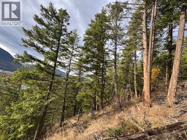 490 Sumac Road, Tappen, BC