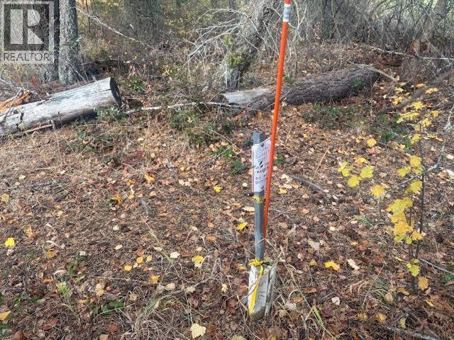 490 Sumac Road, Tappen, BC