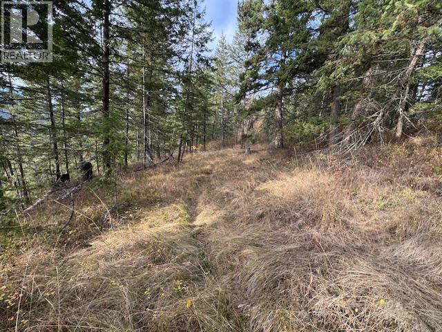 490 Sumac Road, Tappen, BC