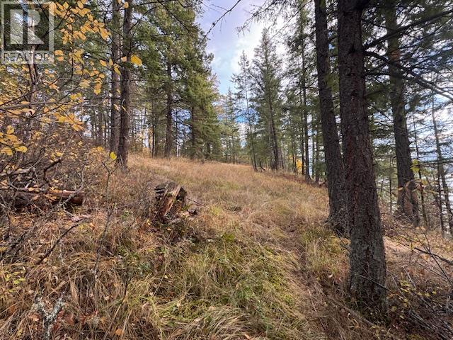 490 Sumac Road, Tappen, BC