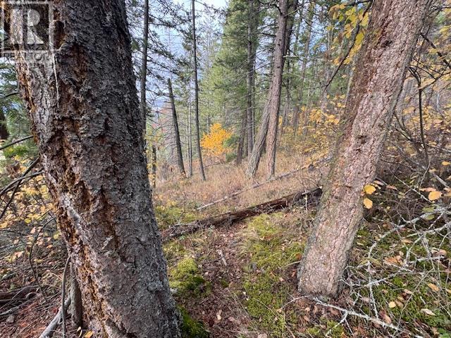 490 Sumac Road, Tappen, BC