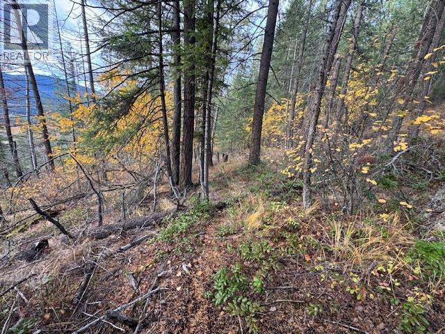 490 Sumac Road, Tappen, BC