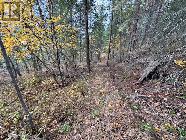 490 Sumac Road, Tappen, BC