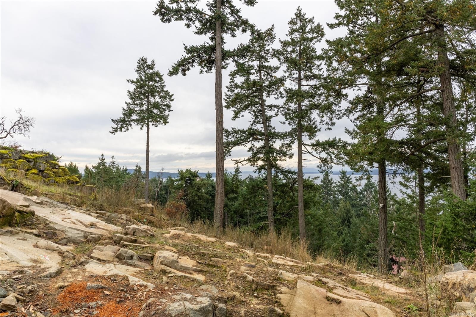 2628 Lighthouse Lane, Pender Island, BC