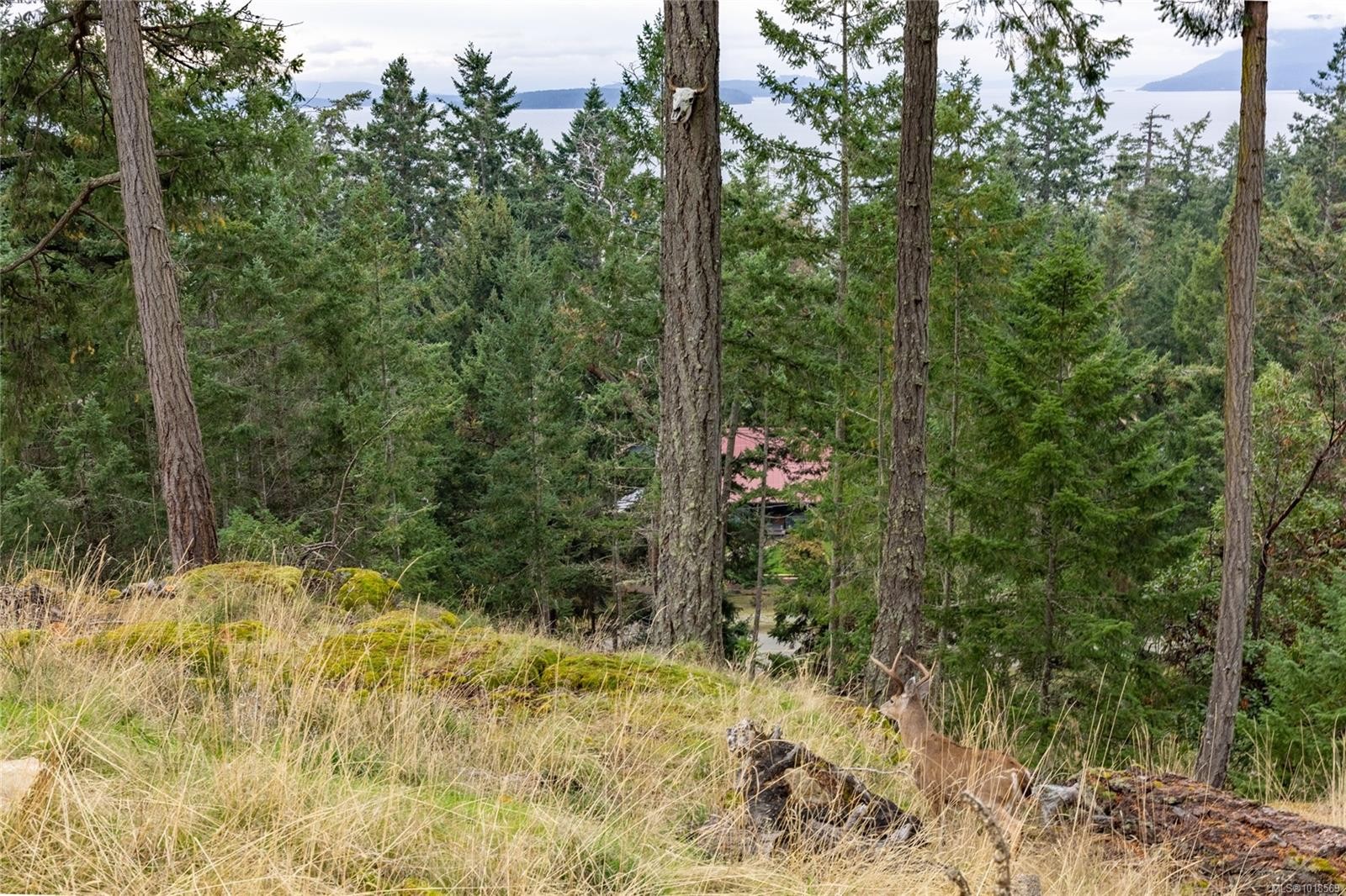 2628 Lighthouse Lane, Pender Island, BC