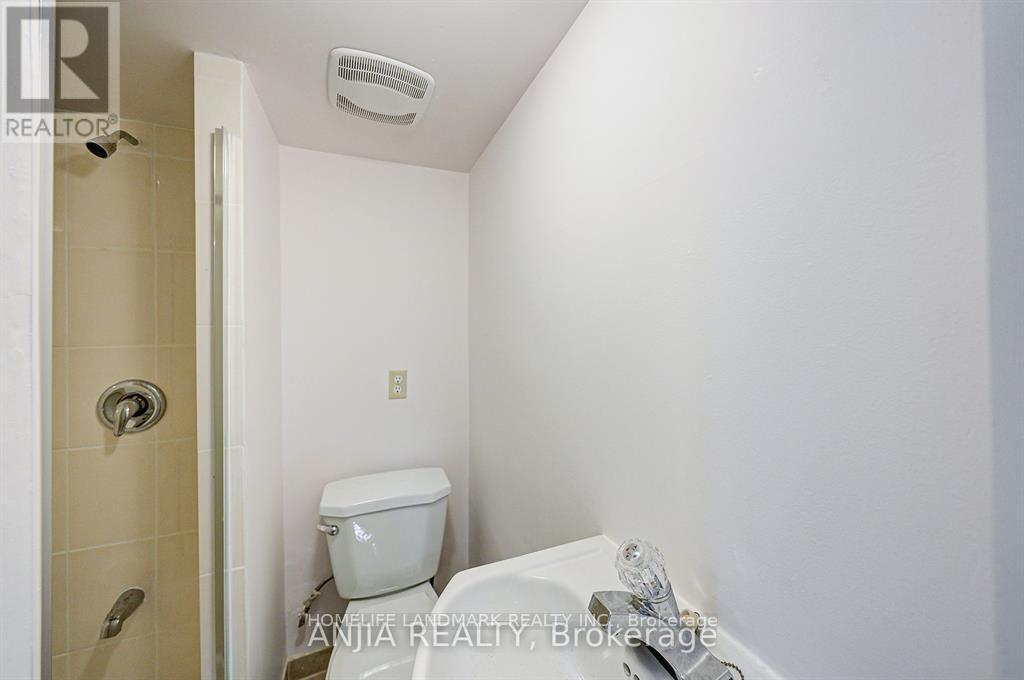 Basement - 203 Milliken Meadows Drive, Markham, ON - Indoor Photo Showing Bathroom