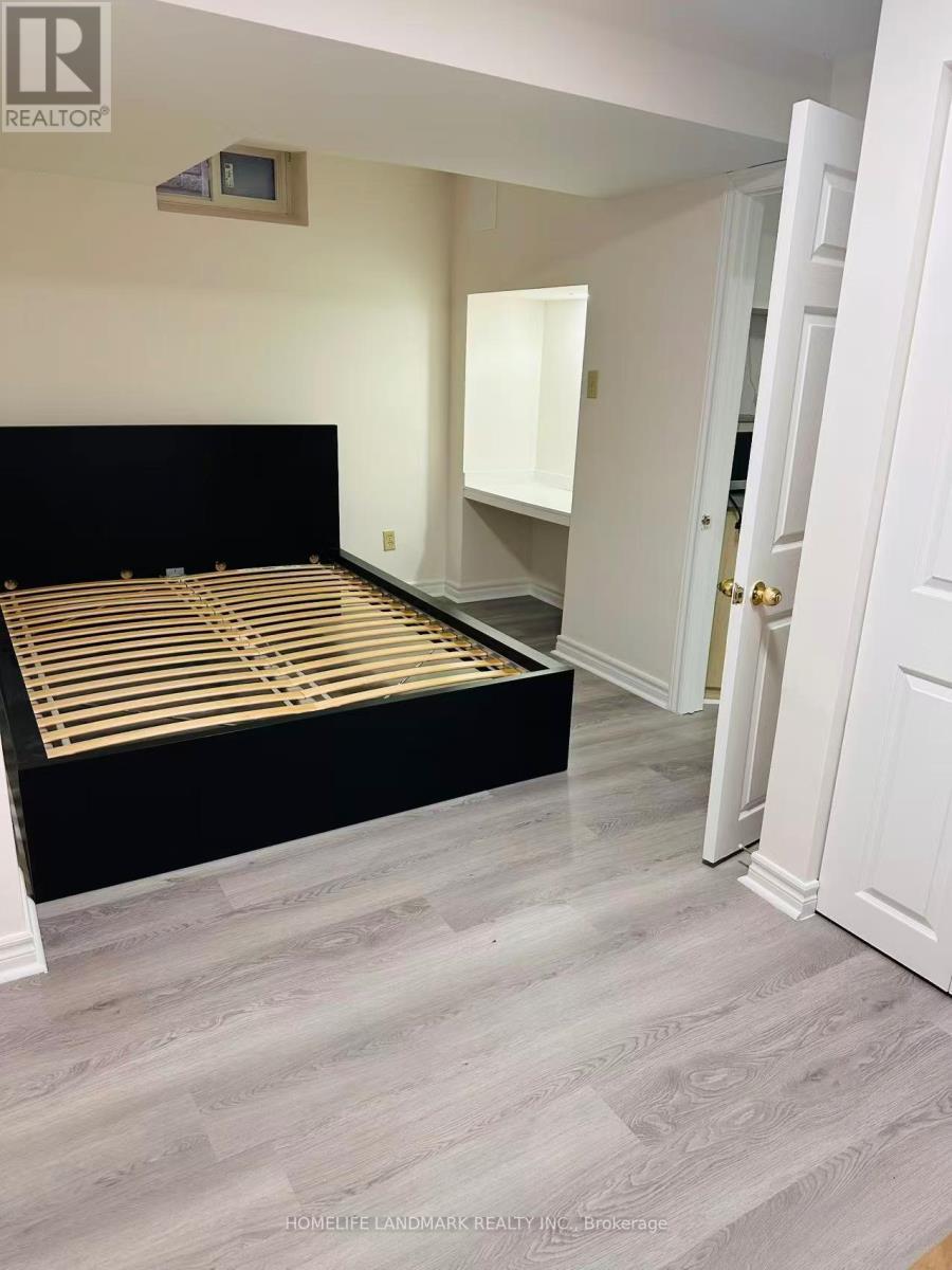 Basement - 203 Milliken Meadows Drive, Markham, ON - Indoor