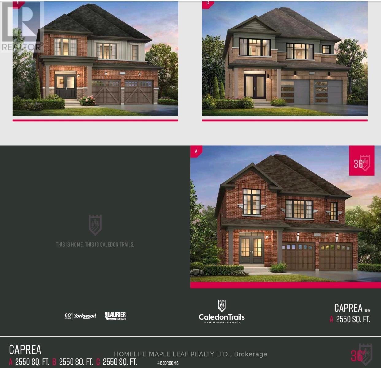 20 Spinland Street, Caledon, ON - Other