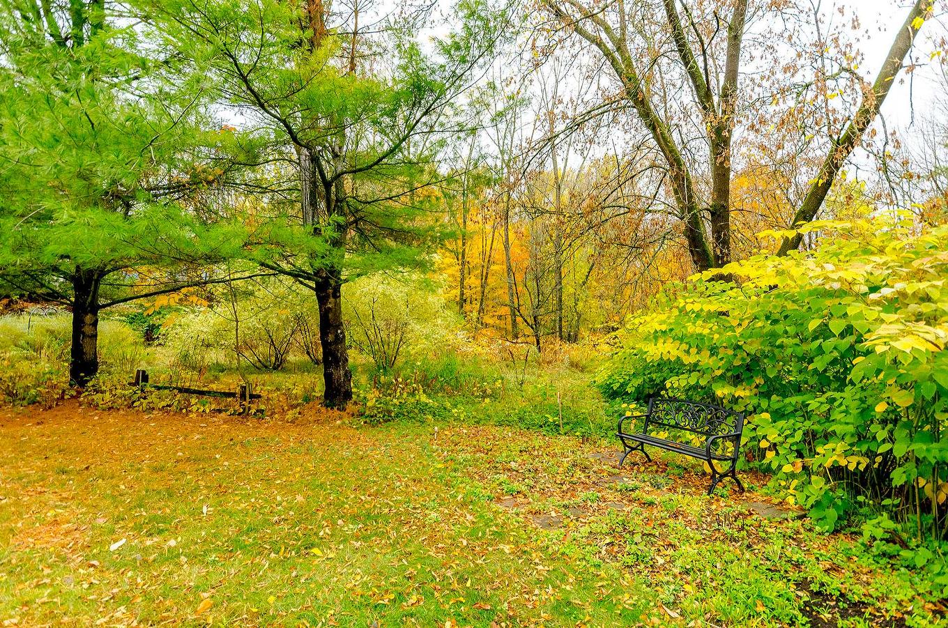 Land/Lot - A-2-911 Rue Principale, Cowansville, QC - Outdoor