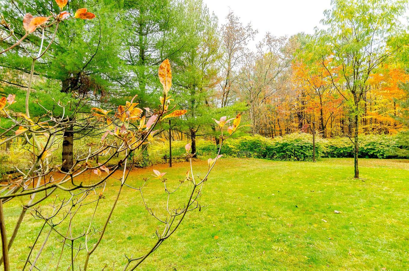 Land/Lot - A-2-911 Rue Principale, Cowansville, QC - Outdoor