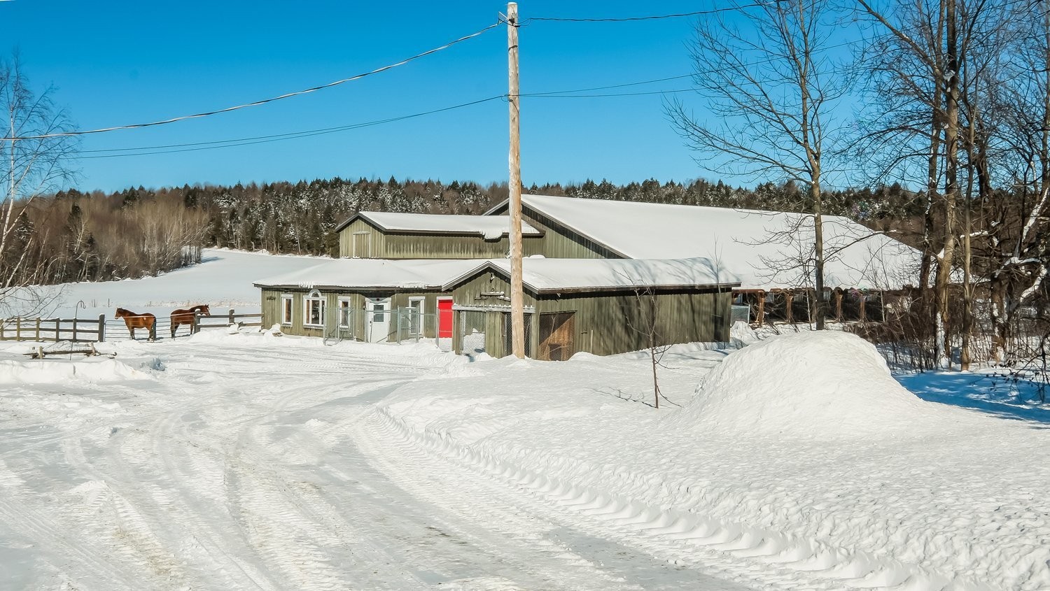 Écurie - 73 Route 255, Kingsey Falls, QC
