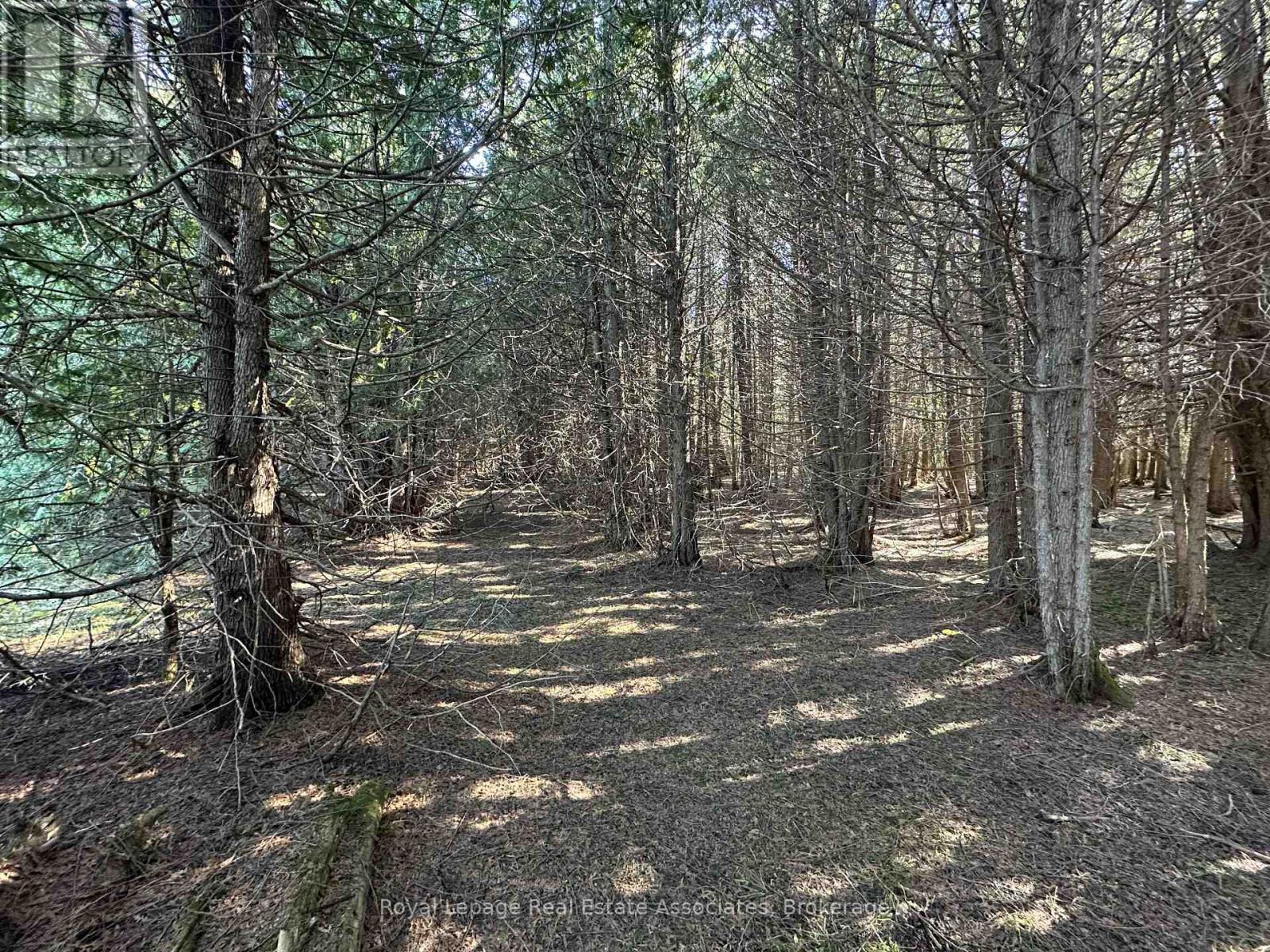 Lt 42 Con 2 Netsr, Chatsworth, ON