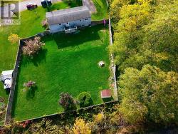 Flat Yard and Woods -