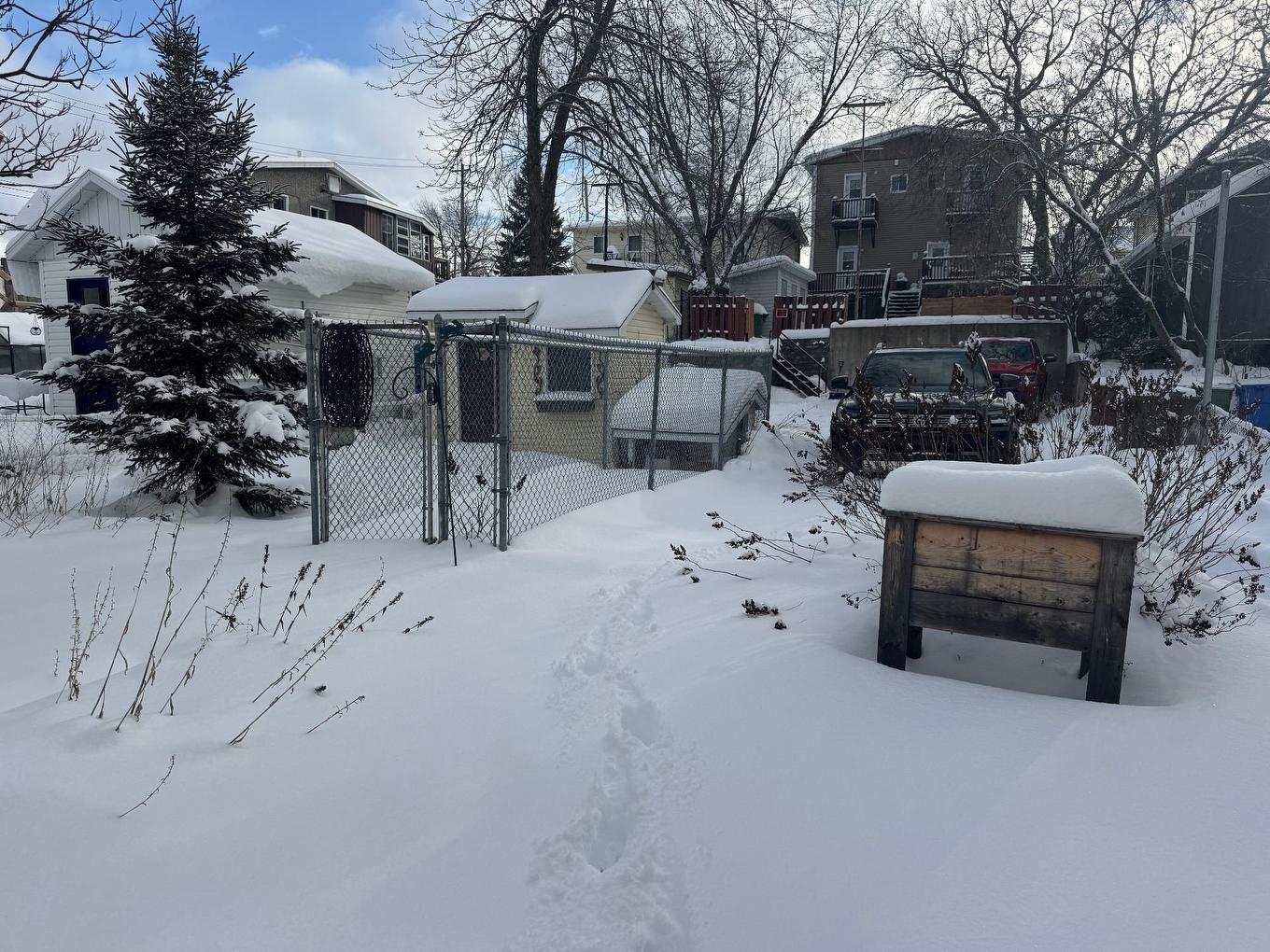 Backyard - 97 - 99 Rue Monseigneur-Tessier O., Rouyn-Noranda, QC - Outdoor