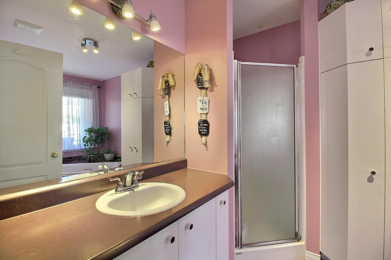 Salle de bains - 6246 Rue Florent, Sherbrooke (Brompton/Rock Forest/Saint-Élie/Deauville), QC - Indoor Photo Showing Bathroom