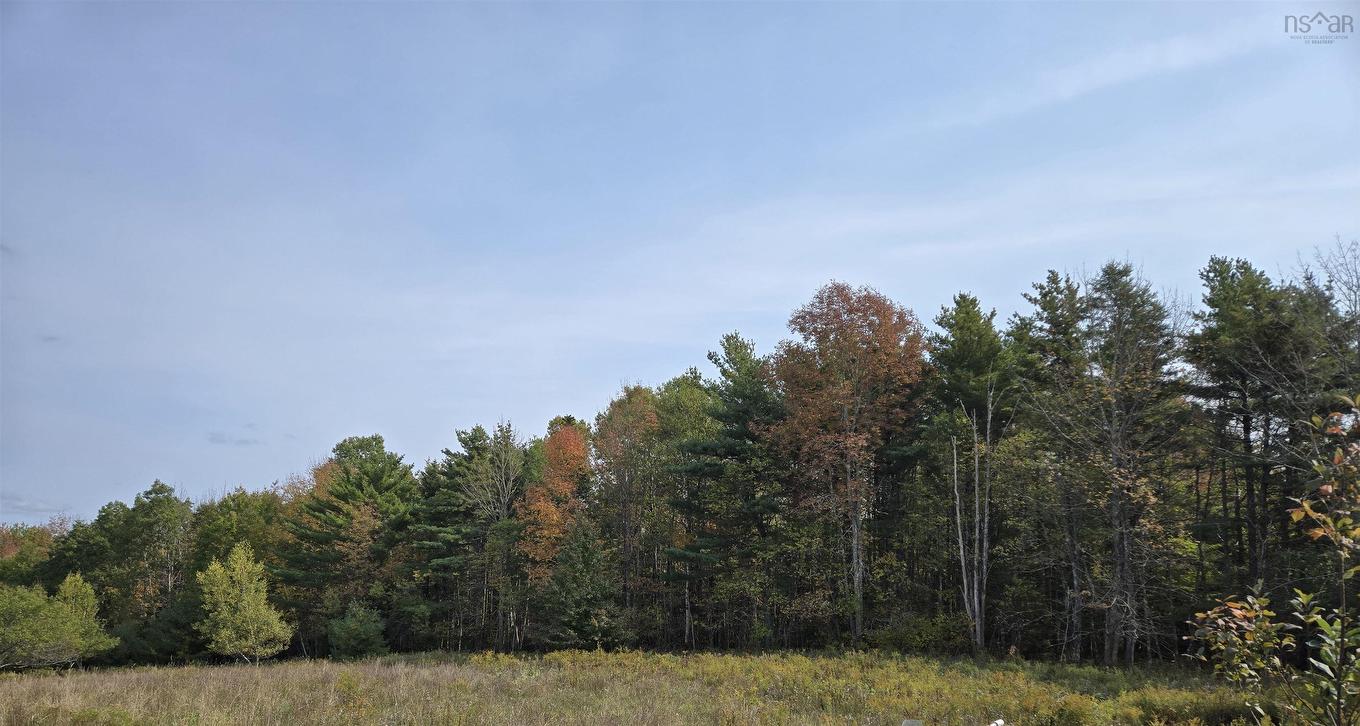 Lot 1A Lower Branch Road, Lower Branch, NS