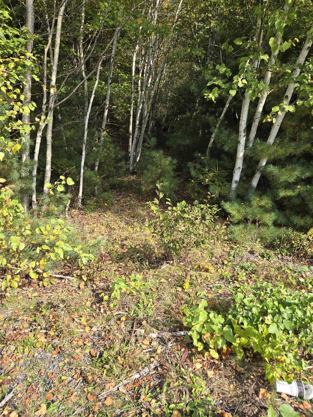 Lot 7 Lower Branch Road, Lower Branch, NS