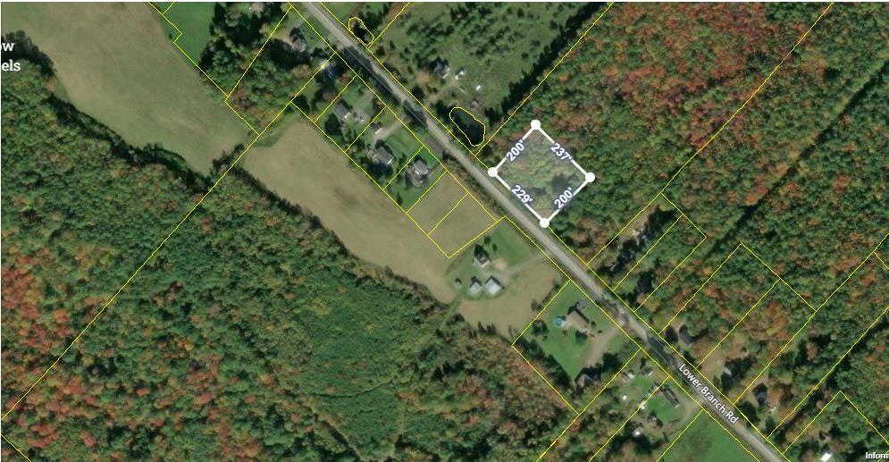 Lot 7 Lower Branch Road, Lower Branch, NS