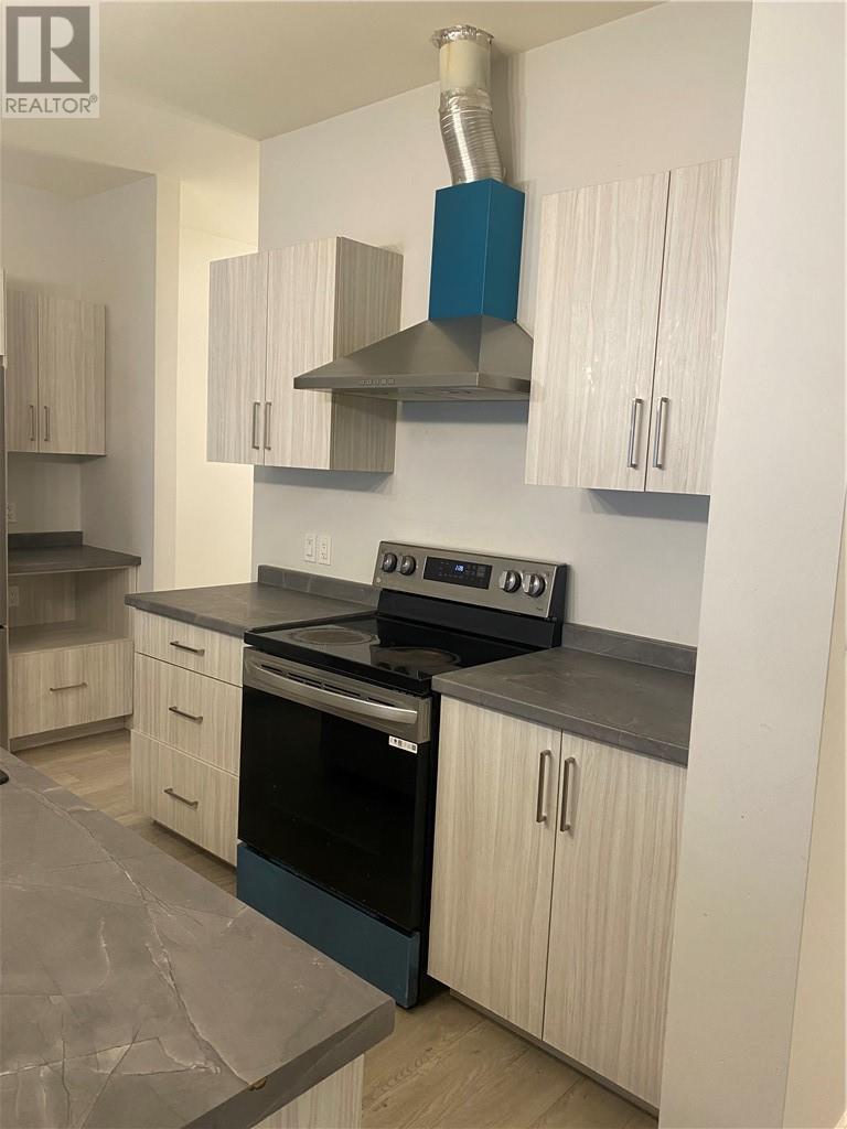 174 Jeanine Street, Sudbury, ON - Indoor Photo Showing Kitchen