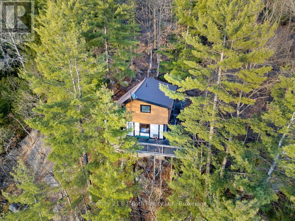 1033 Bayview Point Road, Lake Of Bays (Ridout), ON - Outdoor