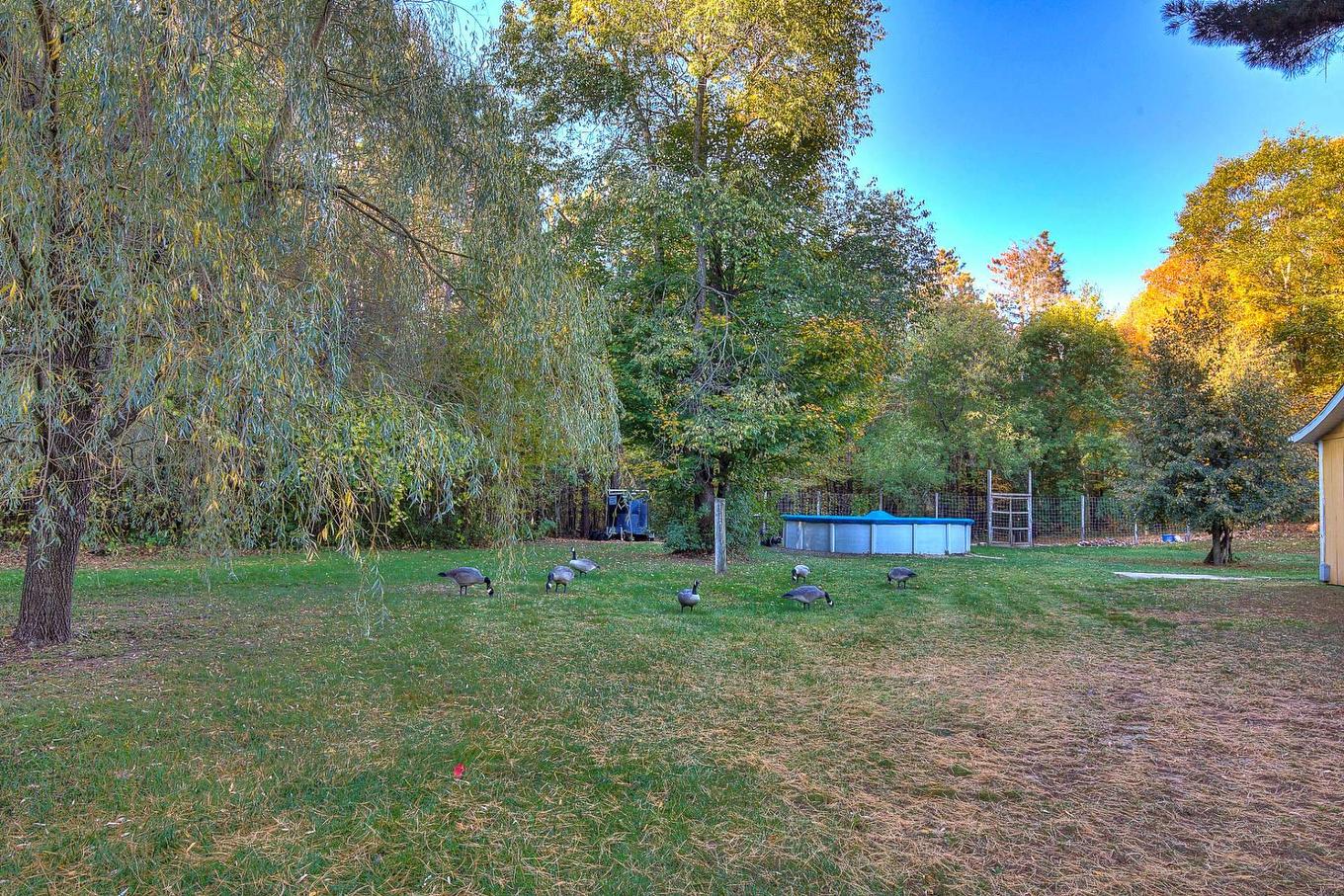 Terre/Terrain - 3315Z Ch. De La Rivière-Du-Nord, Mirabel, QC - Outdoor