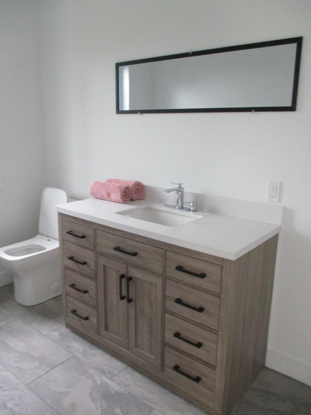 Powder room - 344 3E Rang E., Sainte-Anne-De-La-Pocatière, QC - Indoor Photo Showing Bathroom