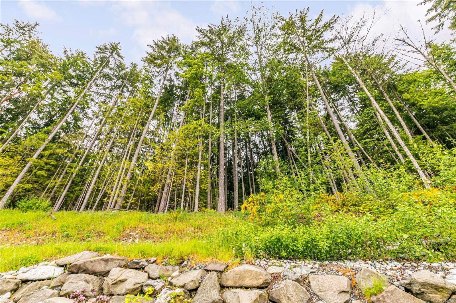 924 Craig Rd, Ladysmith, BC