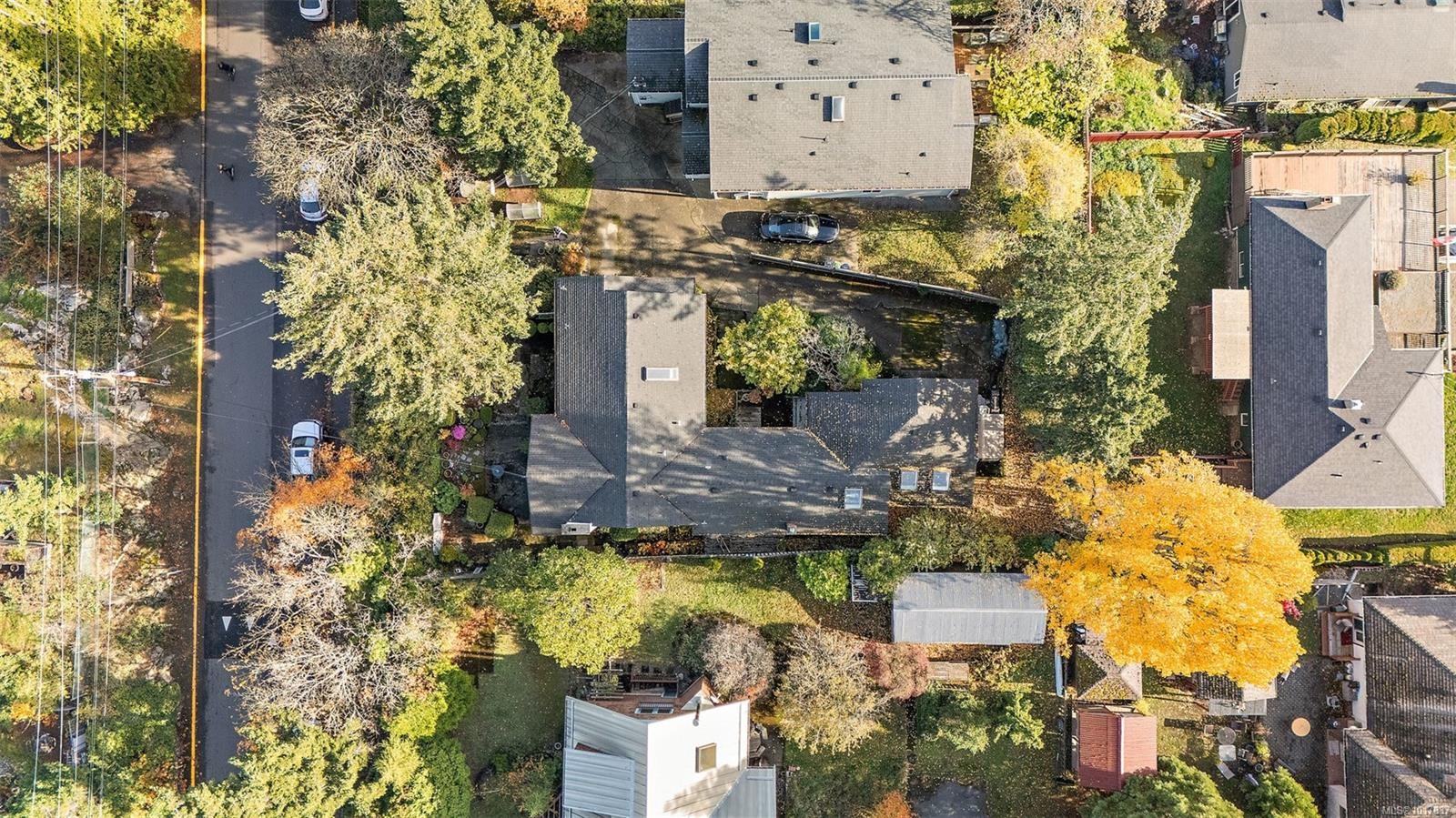 943 Selkirk Ave, Esquimalt, BC