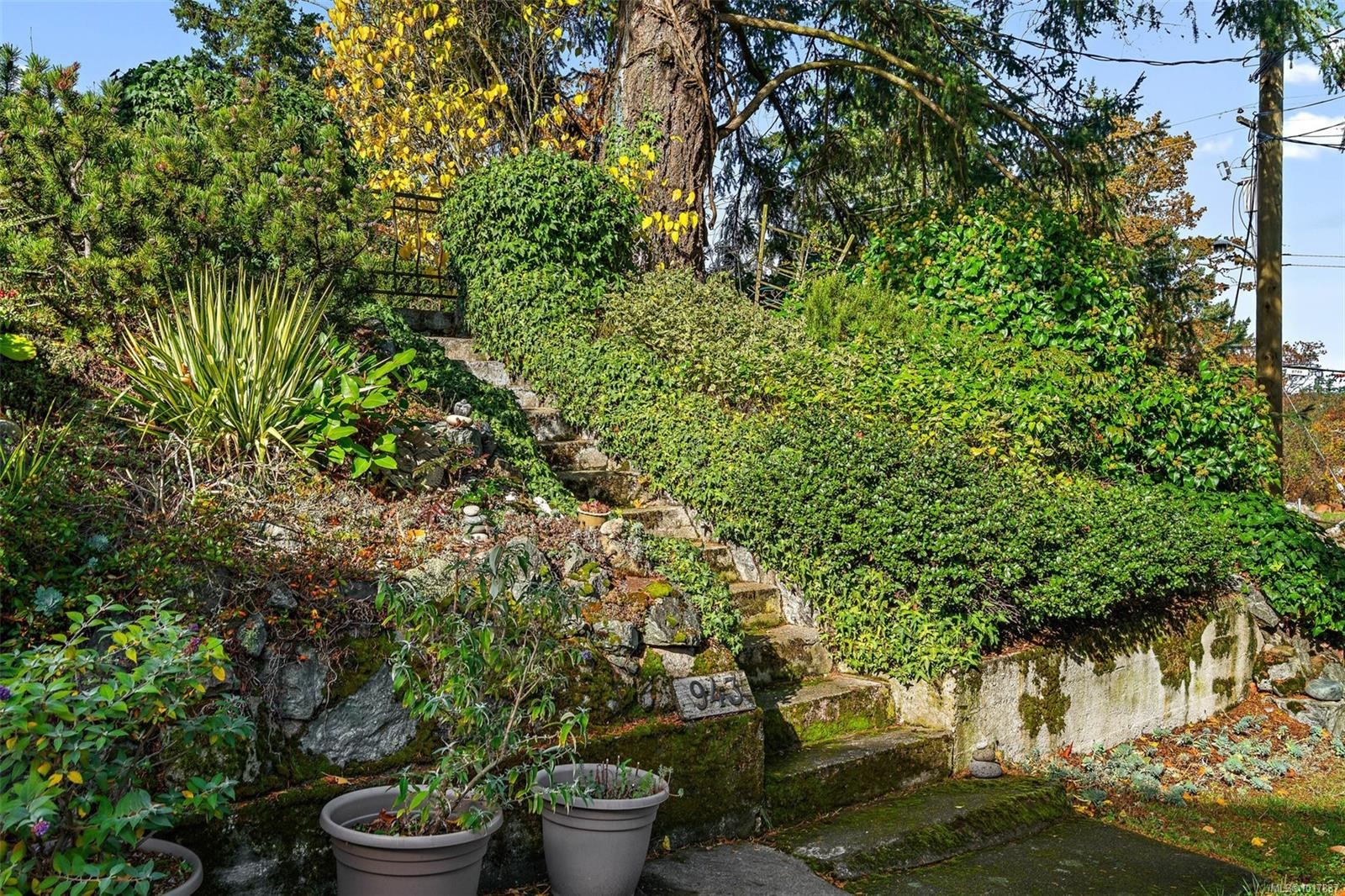 943 Selkirk Ave, Esquimalt, BC