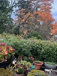 943 Selkirk Ave, Esquimalt, BC