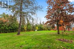 Lush shared green space steps from your patio -