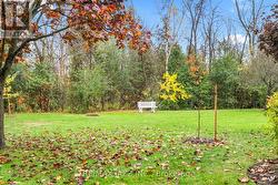 Expansive open lawn-ideal for walk/enjoying nature -