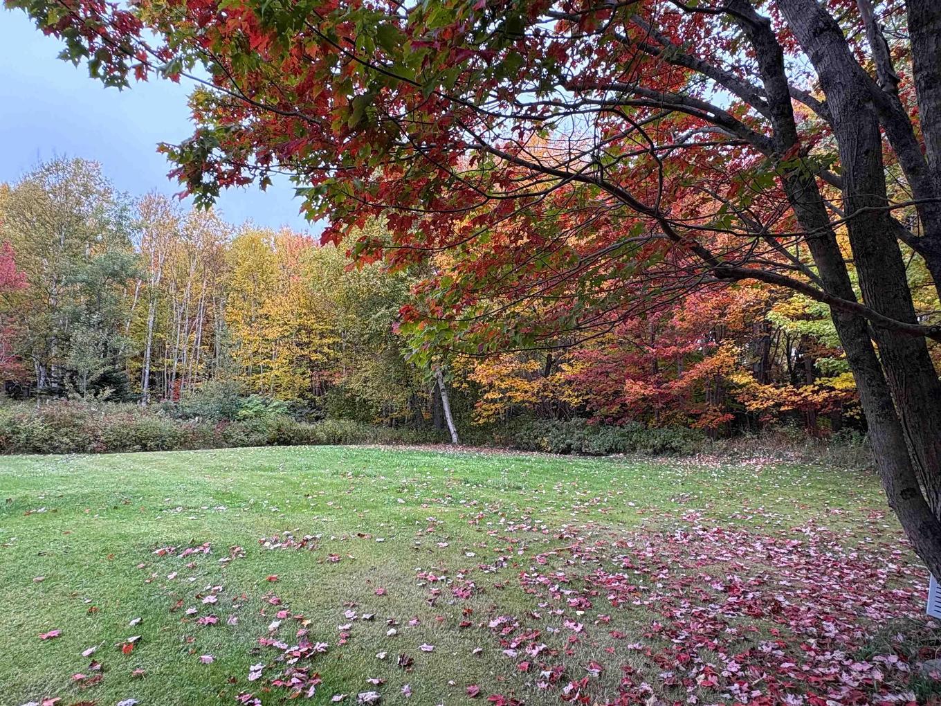 1068 Old Route 5 Road, Big Bras D'Or, NS