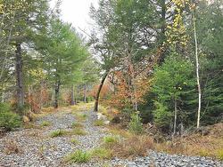 Lot 24 Russells Cove Road Parkdale, NS B0R 1A0