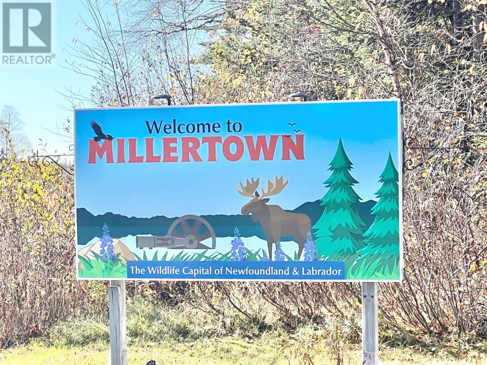 11 Little Paradise Road, Millertown, NL