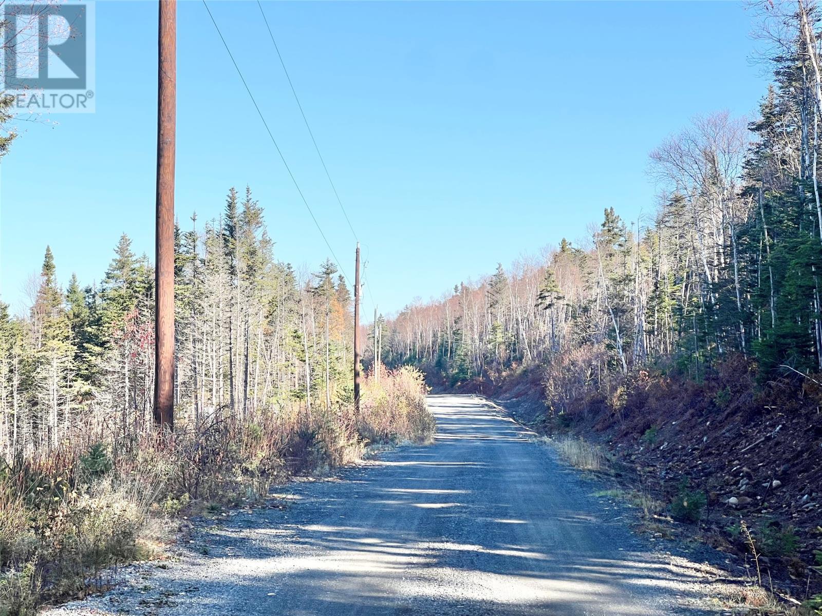 11 Little Paradise Road, Millertown, NL