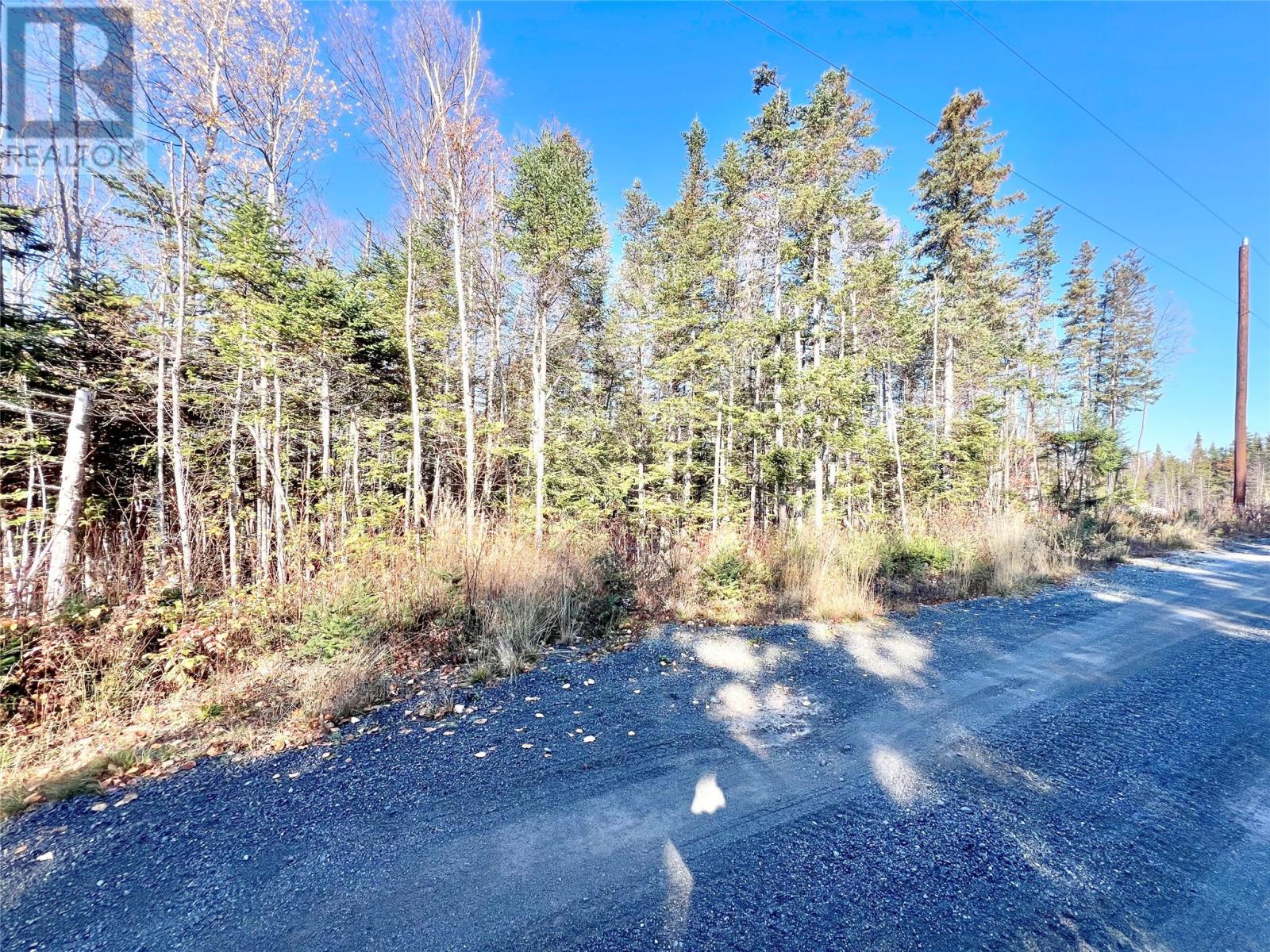 11 Little Paradise Road, Millertown, NL